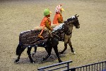 Quadrille - 00023